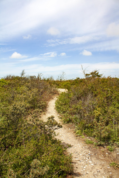 Hourdel。沿海的道路。求和。Picadie。法国的