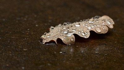 雨后