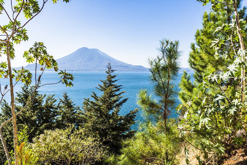 危地马拉阿提特兰湖上的火山树