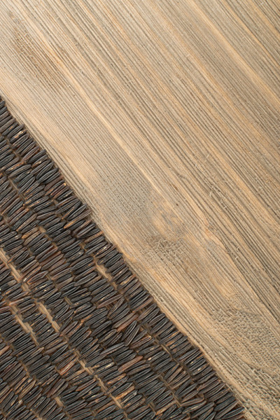 生黑野生稻背景