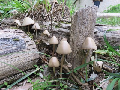 细节自然
