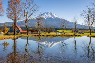 日本静冈县富士山小池塘的倒影