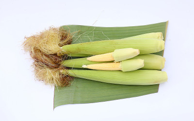 竹编辣椒