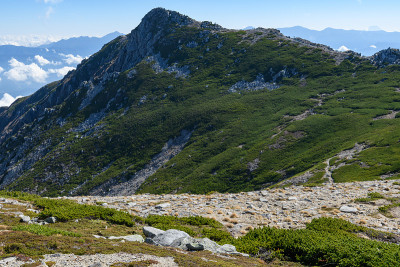 深秋的稻岭山