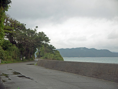 奄美大岛路