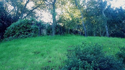 爬满常春藤的小山上的木堡垒(给孩子们用的)