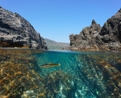 地中海水下的岩石海岸通道