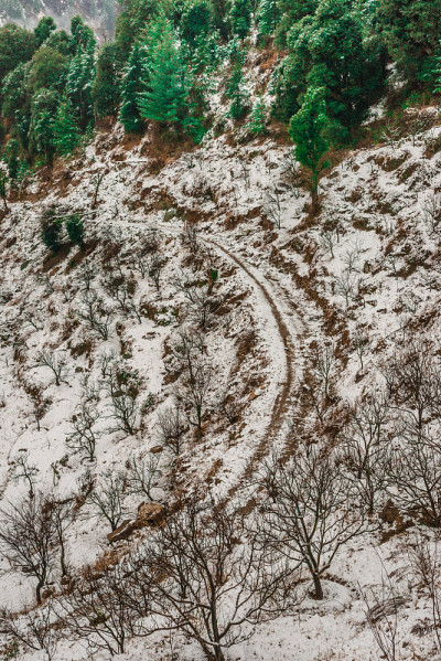 喜马拉雅山被雪覆盖的景观照片