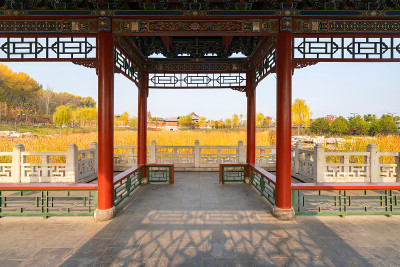 秋天，公园里有中国古建筑的阁楼和银杏树