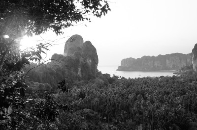 热带自然背景。