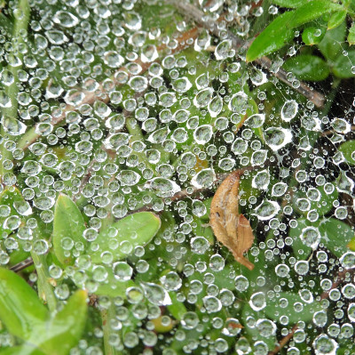 水滴