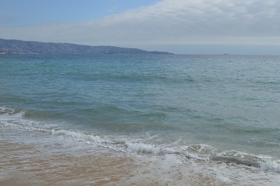 智利的Vina del Mar。