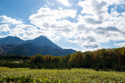 荒野和知床山秋叶在秋天的早晨，知床，北海道，日本