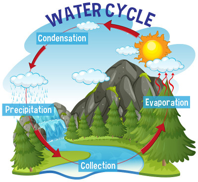 地球上的水循环过程-科学