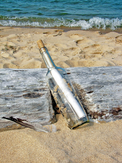 漂流木上的漂流瓶里的信息