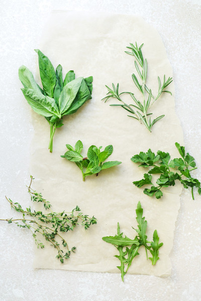 白色背景上的新鲜烹饪香草:迷迭香，百里香，薄荷，芝麻菜，罗勒和欧芹小束