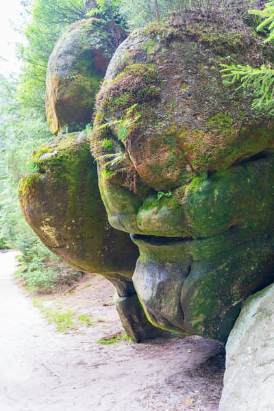国家公园Adrspach-Teplice Rocktown，捷克共和国
