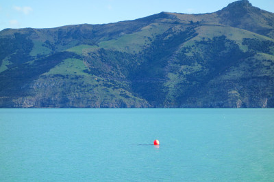 的观点Akaroa