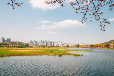 春天的韩国安山花郎游乐区公园