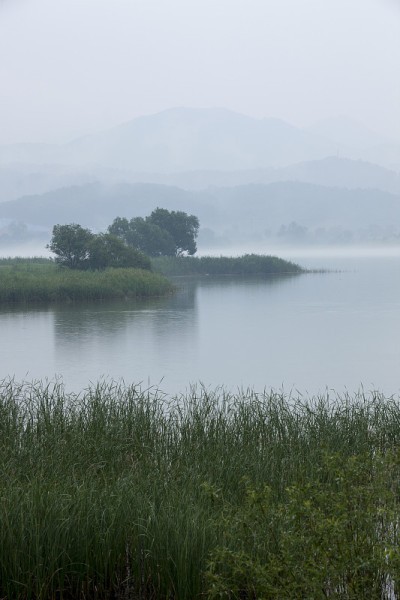 河,雨