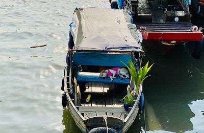 越南Can Tho浮动市场上睡狗的船