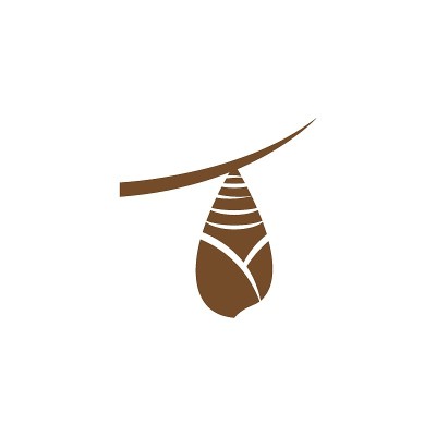 茧插图