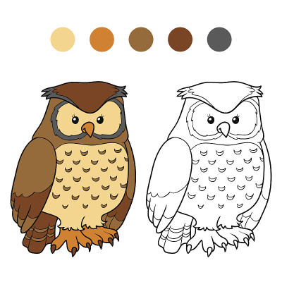 彩色书(owl)