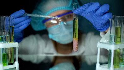 兽医在试管中观察保存的肉样本，研究动物疾病