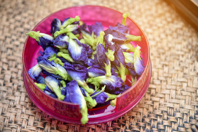 豌豆花，阴蒂兰，蝴蝶蓝。亚洲鸽翅(阴蒂)准备蝴蝶豌豆汁。