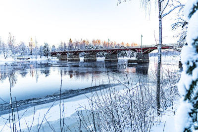 Lejonströmsbron