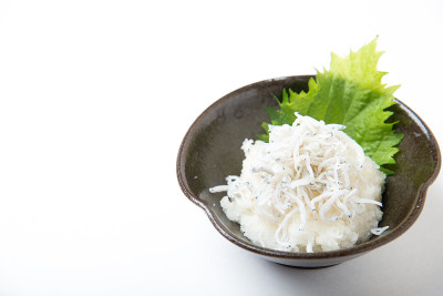 shirasu白萝卜
