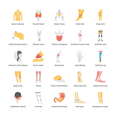 Bundle Of Orthopedic Prosthesis Medical Implants A