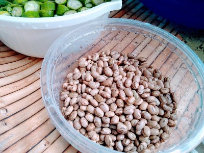 豆子