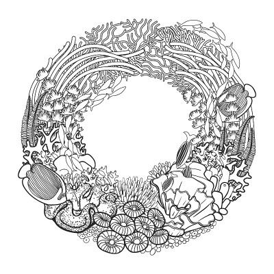珊瑚礁花环