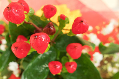 花