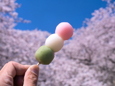 樱花和饺子盛开
