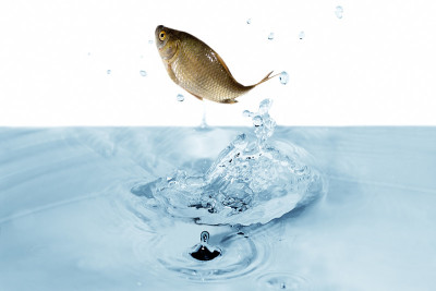 在水里