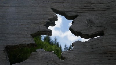 一个女巫在扫帚上的木纹，自然景观。