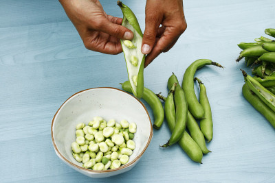 豆子