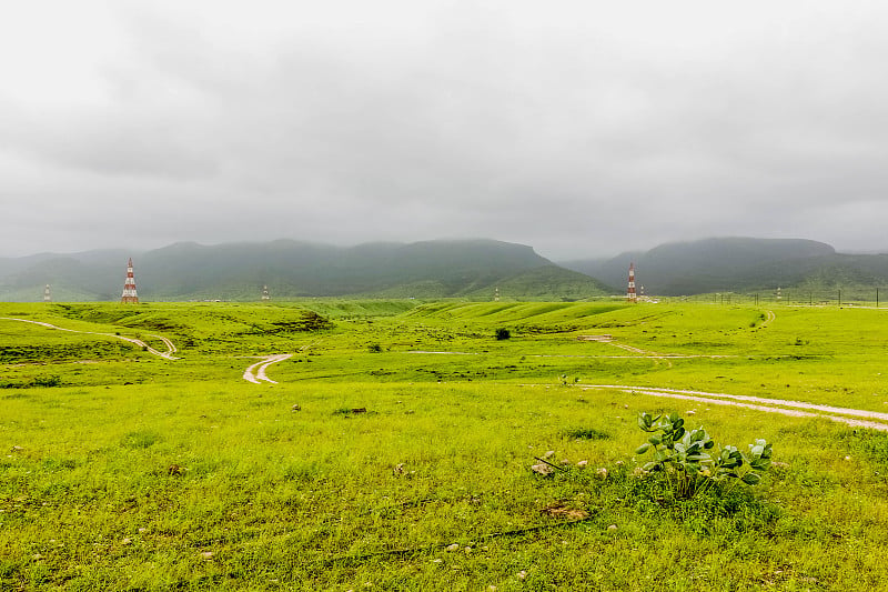 郁郁葱葱的绿色山景与雾在萨拉赫，阿曼