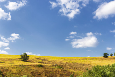 巴西利卡塔Val D'Agri的夏季乡村景观和鲜花田