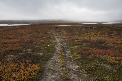 Kungsleden小径穿过瑞典拉普兰Ammarnäs北部的高山苔原