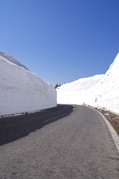 雪墙