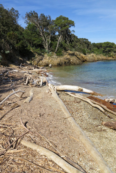 Porquerolles,安静的海滩