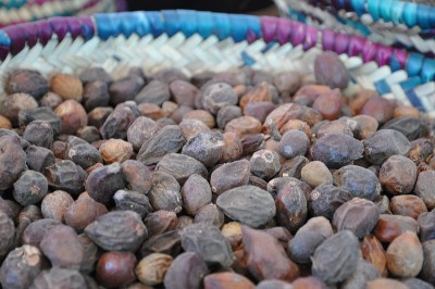 Argan nuts