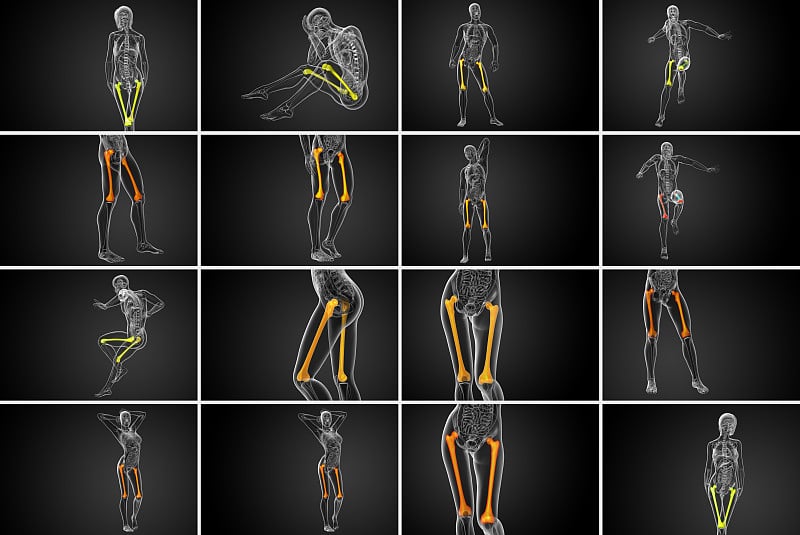 股骨骨的3d渲染医学插图