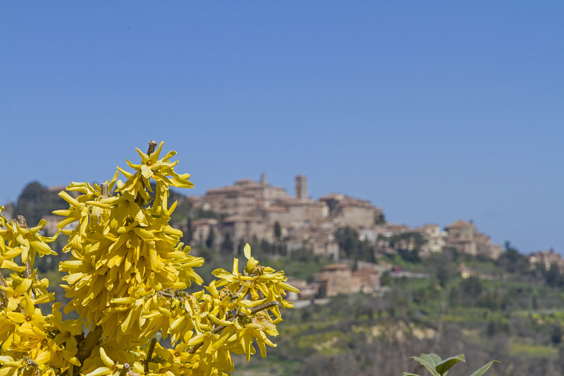 Montepulciano