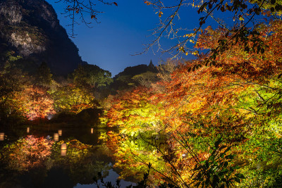 美丽的日本花园，名为mifuyama Rakuen在秋天的夜景枫叶和湖反射。