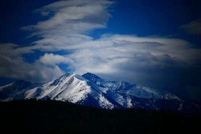 冬天的狗狗，pyrenees - orientales