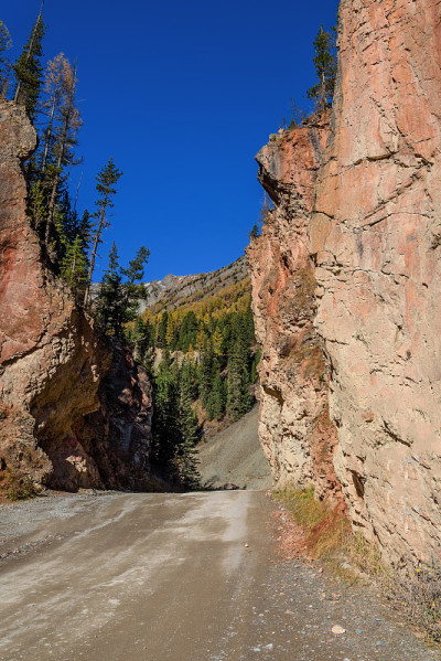 山红路秋门